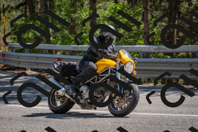 202508091519-DSC_3795_c4_