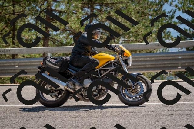 202508091519-DSC_3796_c4_