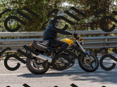 202508091519-DSC_3797_c4_