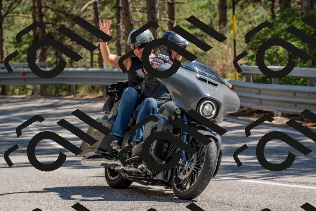 202508091520-DSC_3798_c4_