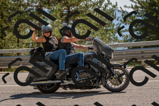 202508091520-DSC_3800_c4_