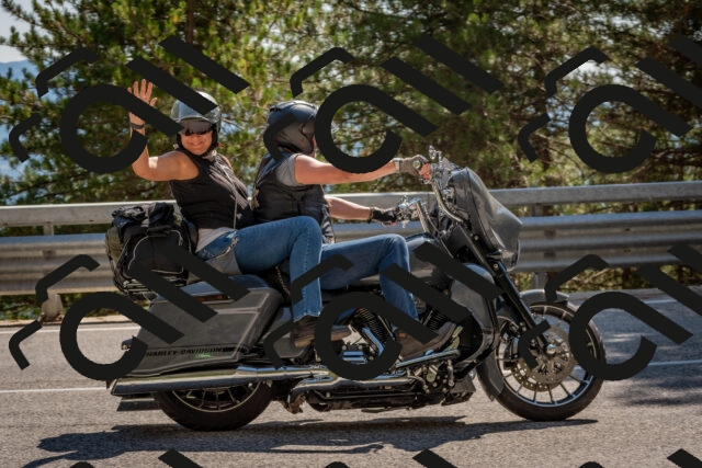 202508091520-DSC_3801_c4_