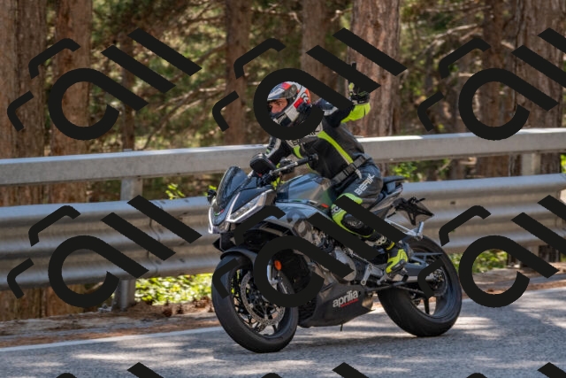 202508091521-DSC_3802_c4_