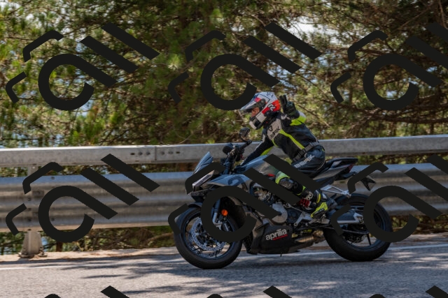 202508091521-DSC_3803_c4_