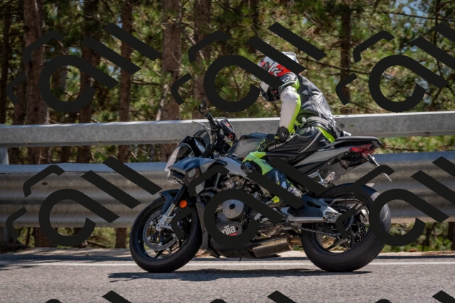 202508091521-DSC_3805_c4_