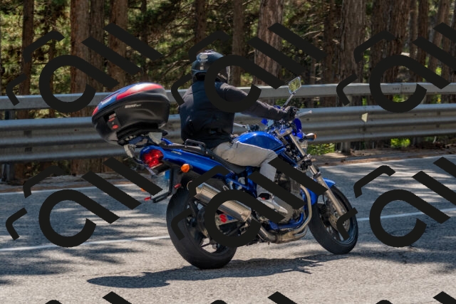 202508091523-DSC_3810_c4_