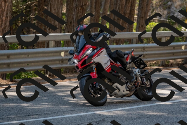 202508091525-DSC_3811_c4_