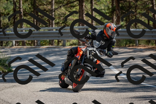 202508091525-DSC_3816_c4_