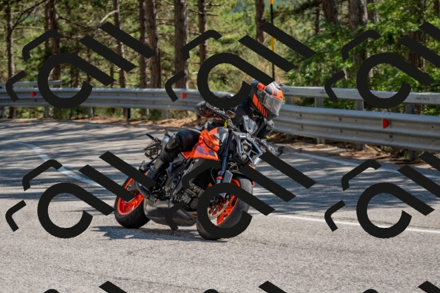 202508091525-DSC_3817_c4_