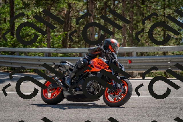 202508091525-DSC_3818_c4_