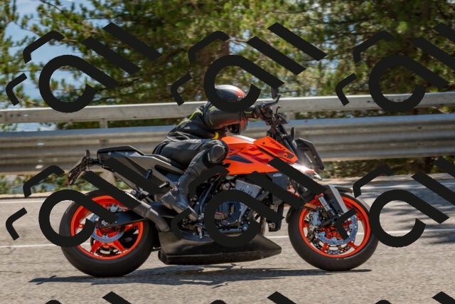 202508091525-DSC_3819_c4_