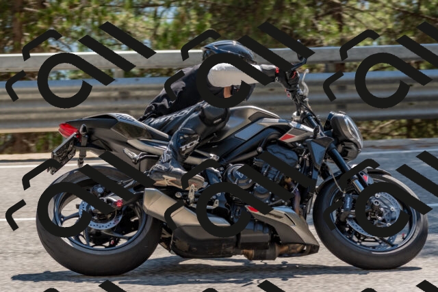 202508091525-DSC_3821_c4_