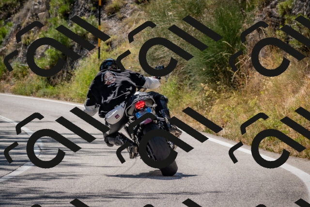 202508091525-DSC_3822_c4_