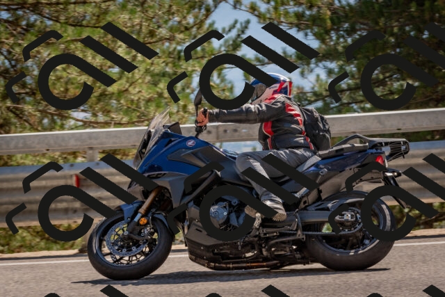 202508091527-DSC_3833_c4_