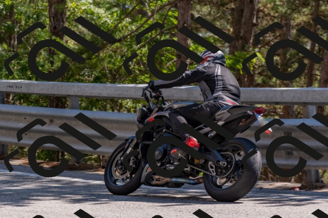 202508091527-DSC_3838_c4_