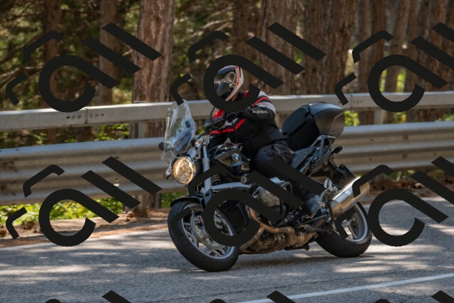 202508091527-DSC_3840_c4_