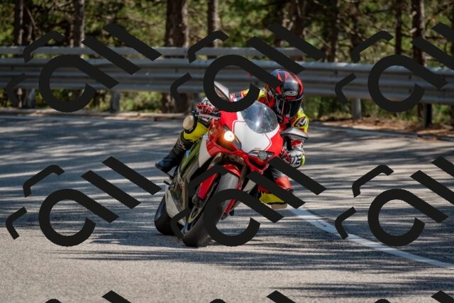 202508091528-DSC_3845_c4_