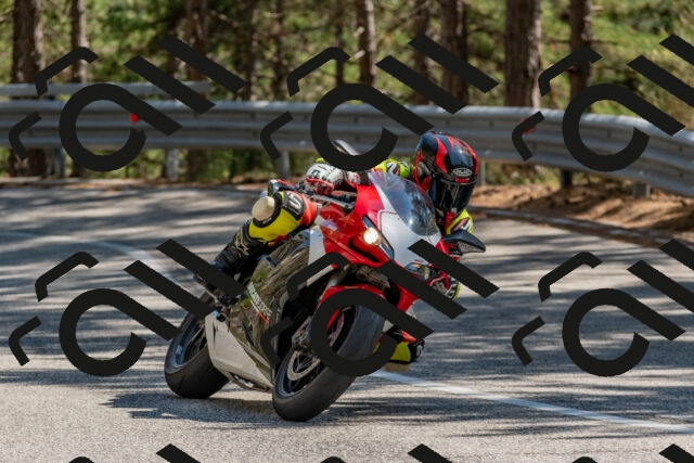 202508091528-DSC_3846_c4_