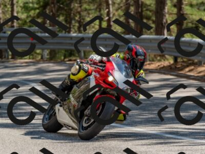 202508091528-DSC_3846_c4_