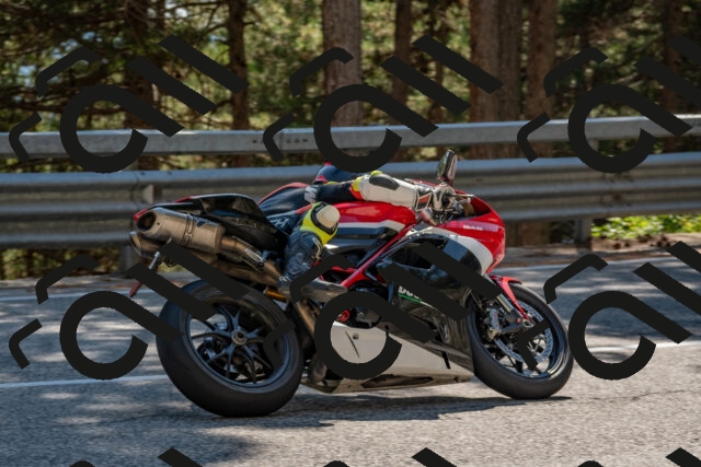 202508091528-DSC_3848_c4_