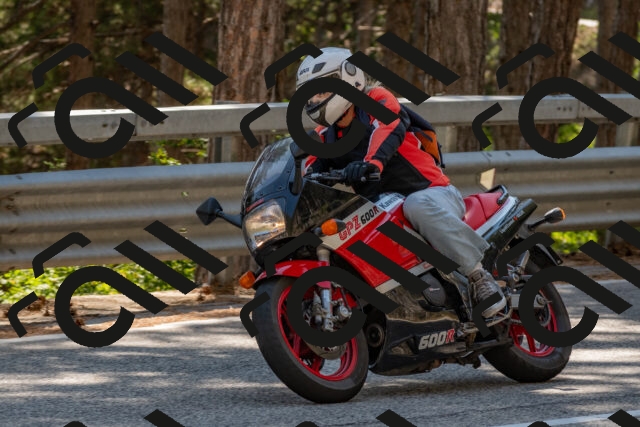 202508091529-DSC_3850_c4_