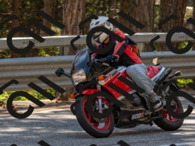 202508091529-DSC_3850_c4_