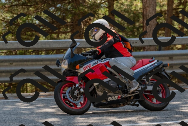 202508091529-DSC_3851_c4_