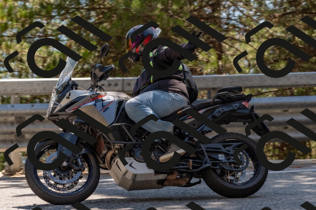 202508091529-DSC_3853_c4_