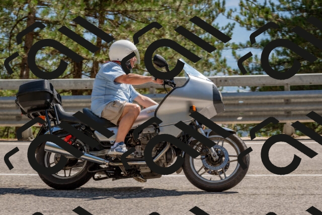 202508091529-DSC_3861_c4_