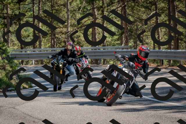 202508091533-DSC_3871_c4_