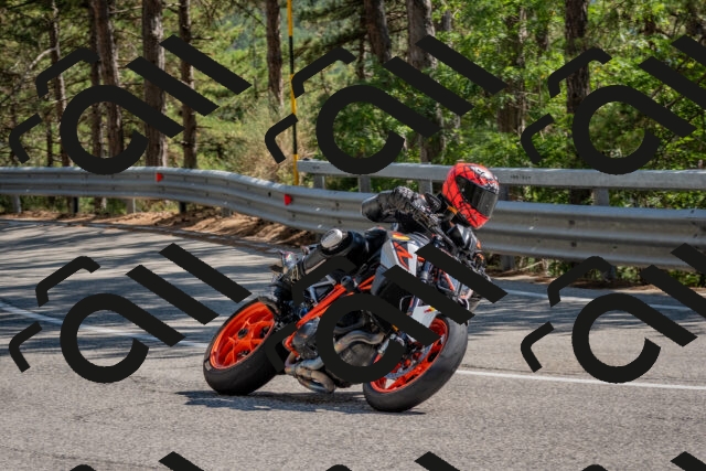 202508091533-DSC_3872_c4_