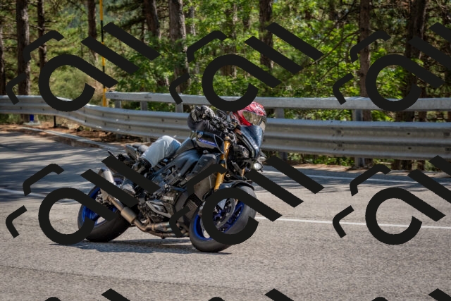 202508091533-DSC_3874_c4_