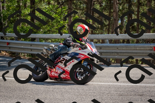 202508091533-DSC_3875_c4_