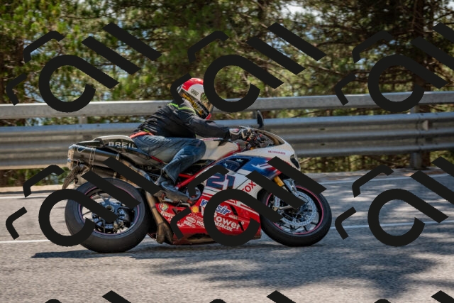 202508091533-DSC_3877_c4_