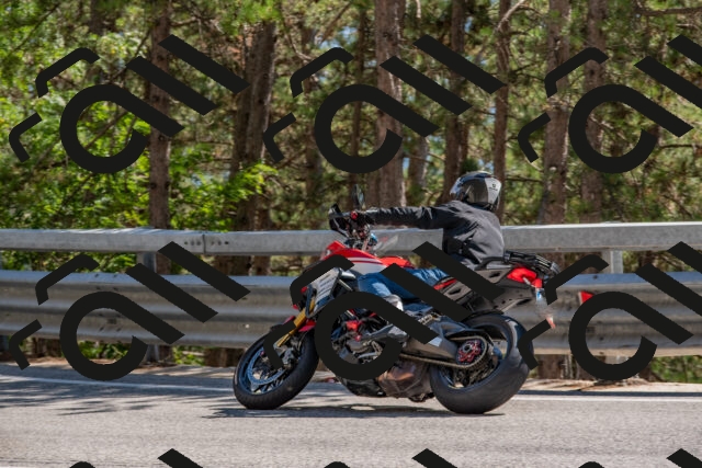 202508091534-DSC_3881_c4_