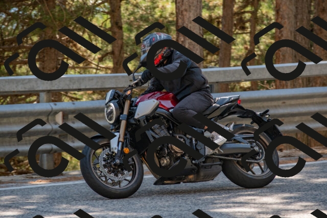 202508091534-DSC_3882_c4_