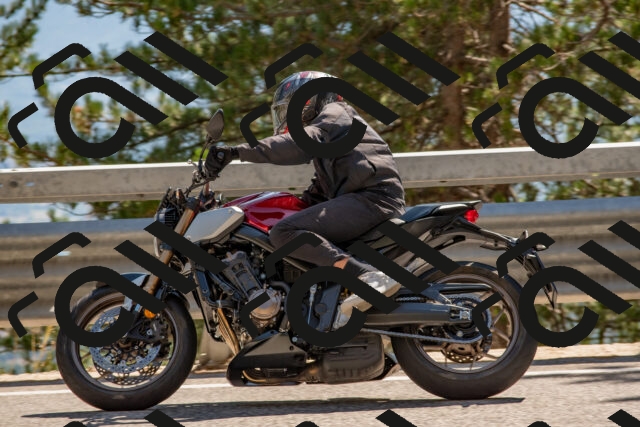 202508091534-DSC_3883_c4_