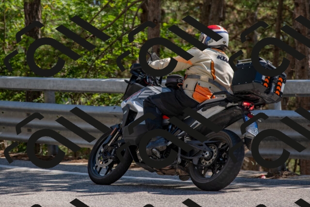 202508091535-DSC_3887_c4_