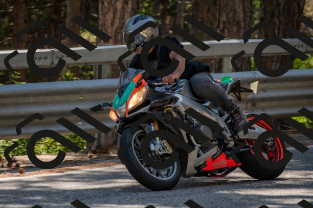 202508091535-DSC_3888_c4_