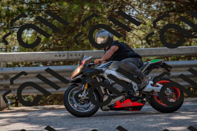 202508091535-DSC_3889_c4_