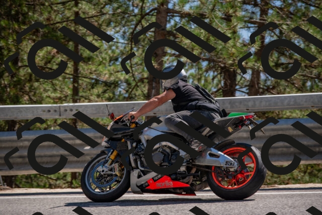 202508091535-DSC_3890_c4_