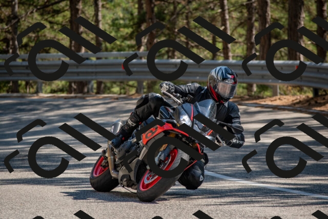 202508091537-DSC_3892_c4_