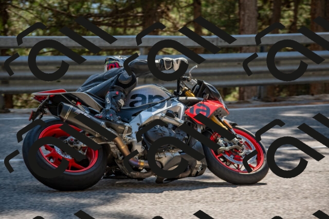 202508091537-DSC_3894_c4_