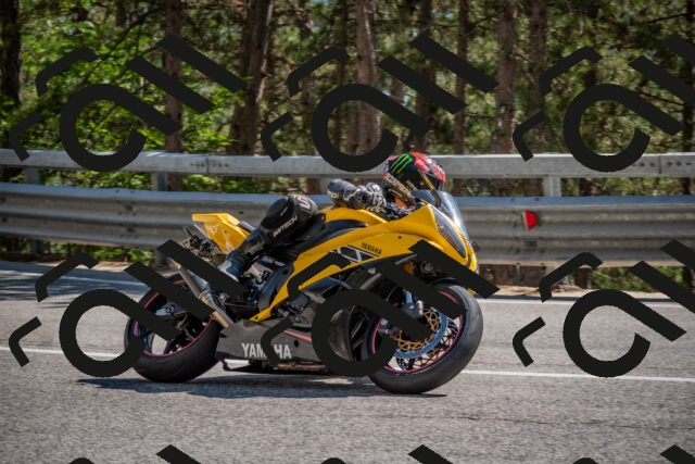 202508091538-DSC_3901_c4_