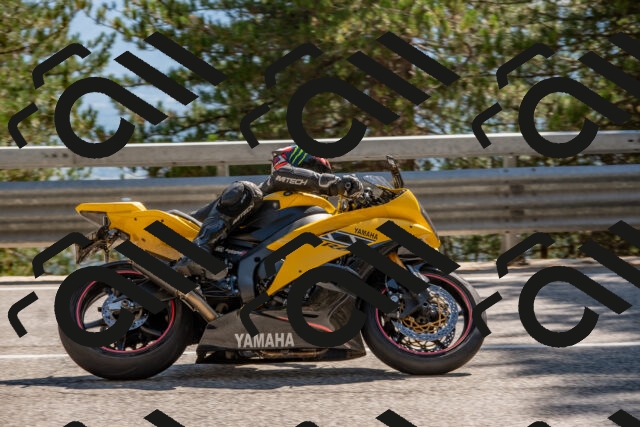 202508091538-DSC_3902_c4_