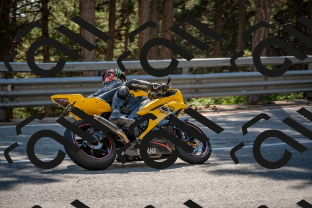 202508091538-DSC_3903_c4_