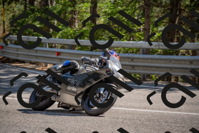 202508091538-DSC_3906_c4_