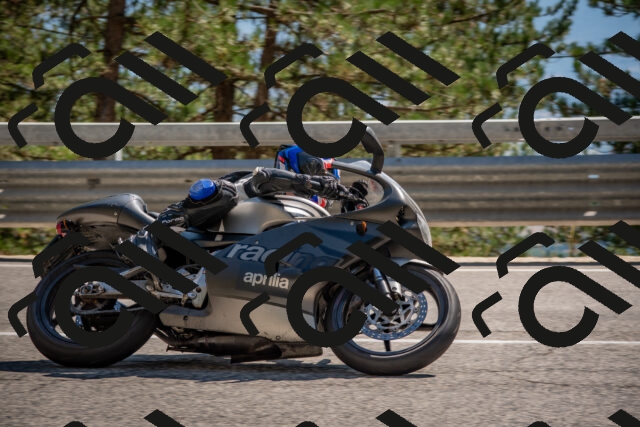 202508091538-DSC_3907_c4_