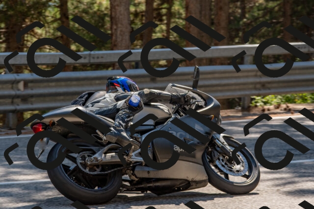 202508091538-DSC_3908_c4_