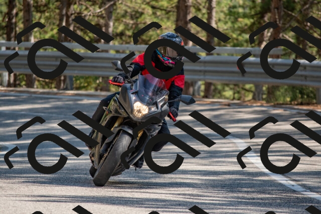 202508091538-DSC_3910_c4_